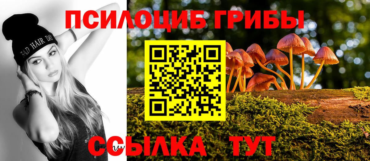 Люберцы  Галлюциногенные грибы MAGIC MUSHROOMS  Вход с VPN 