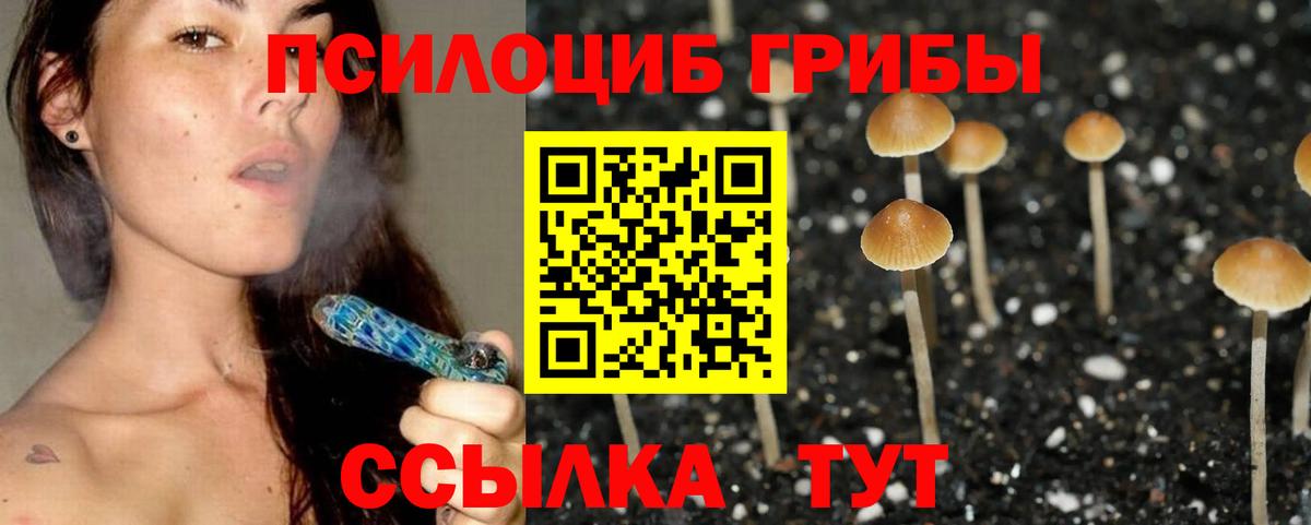 Галлюциногенные грибы мухоморы Люберцы